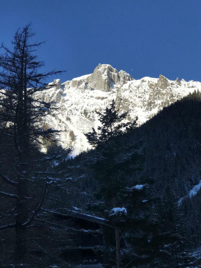 Brevent - Meleze Apartment Chamonix Exterior photo