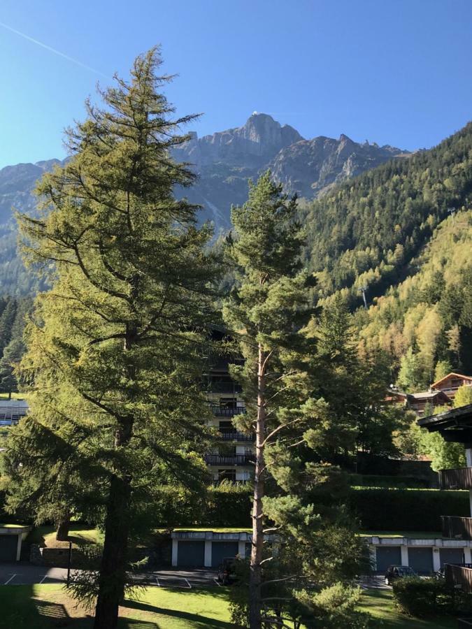Brevent - Meleze Apartment Chamonix Exterior photo
